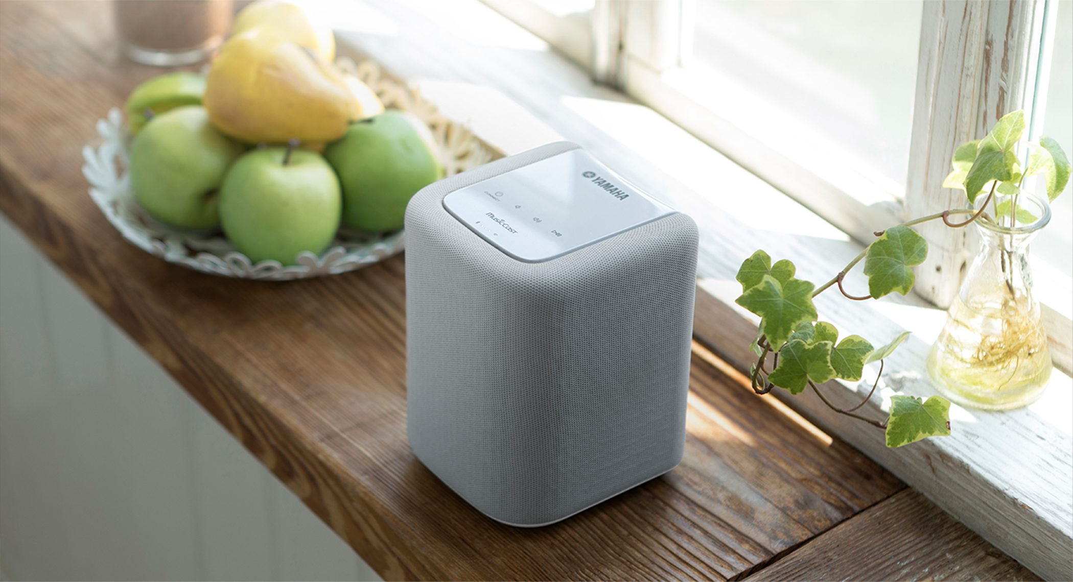 Enceinte WX1010