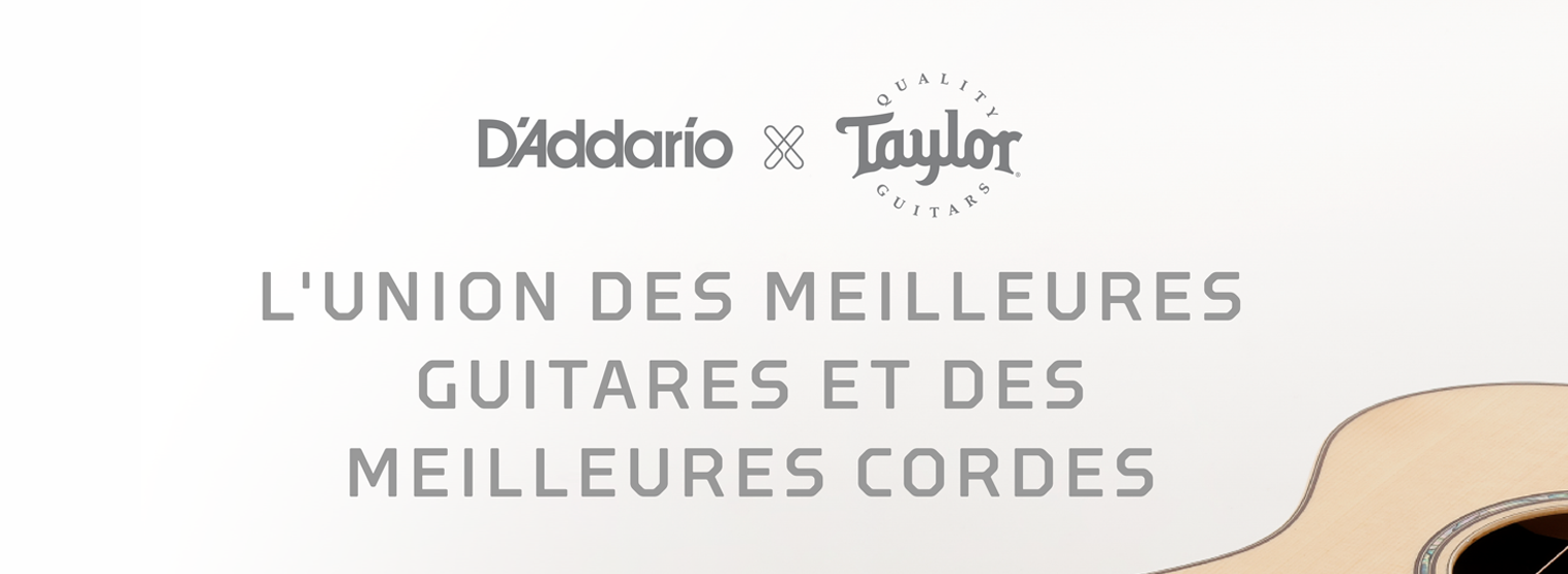 D'Addario XS et Taylor Guitars