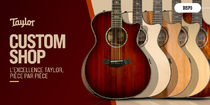Taylor Custom Shop : que valent ces guitares uniques ?