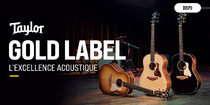 Taylor Gold Label : pourquoi cette nouvelle série change le son Taylor ?