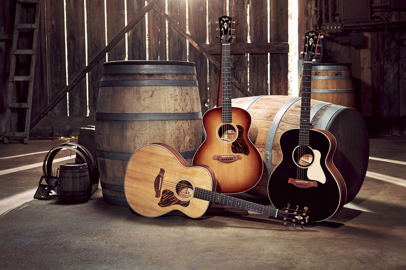 Taylor Gold label série 514