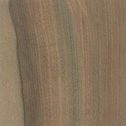 Taylor wood: Blackheart Sassafras