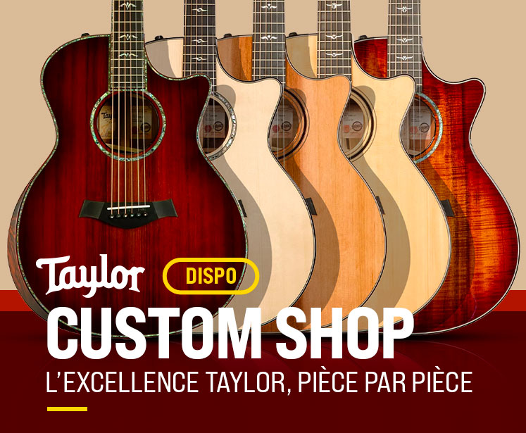 Taylor Custom Shop Banner small