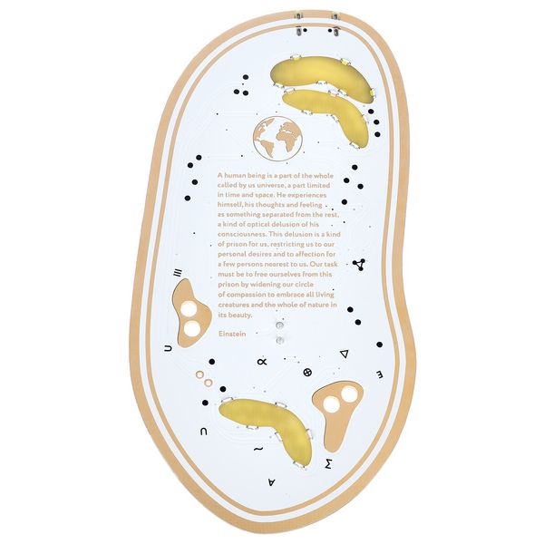 Playtronica Biotron Midi Controller - ContrÔleur Midi - Variation 1