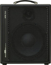 Combo ampli basse Aer Amp Two