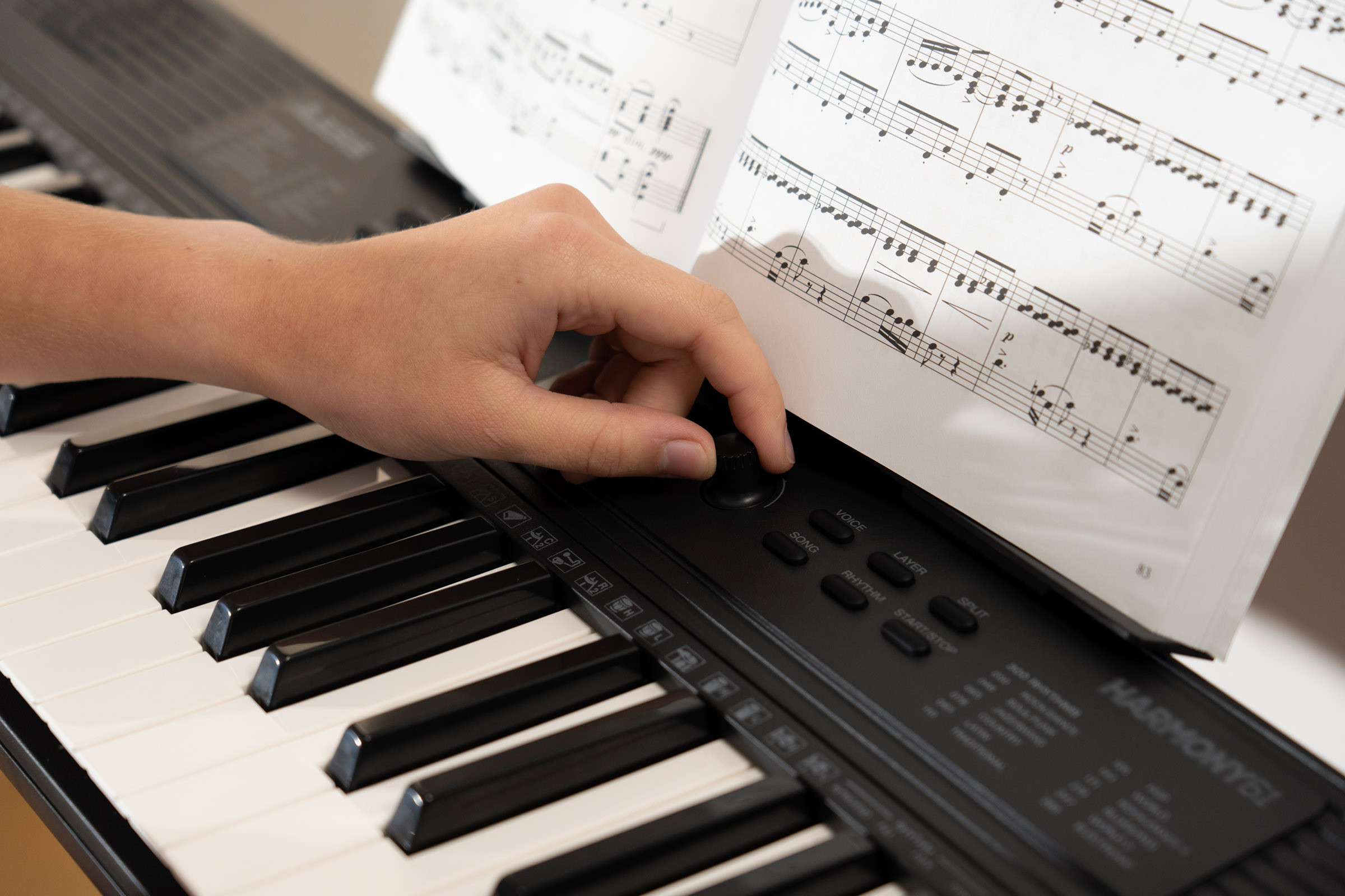 Alesis Harmony 61 Mk4 - Clavier Arrangeur - Variation 9