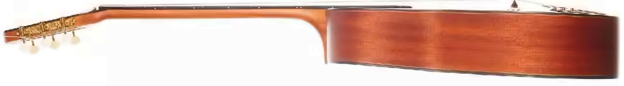 Altamira M10 D Hole Gypsy Jazz Grande Bouche Cw Epicea Acajou Eb - Natural - Guitare Manouche - Variation 2