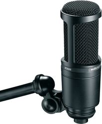 Micro statique large membrane Audio technica AT2020