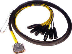 Câble multipaire & boîtier de scène Avid SUB D 25 / XLR AES EBU 