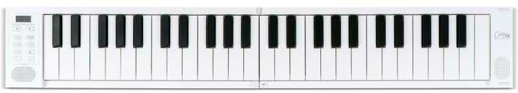 Carry On Piano 49 Touch White - Clavier Arrangeur - Main picture