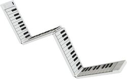 Clavier arrangeur Carry on 88