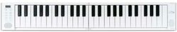 Clavier arrangeur Carry on PIANO 49 TOUCH WHITE