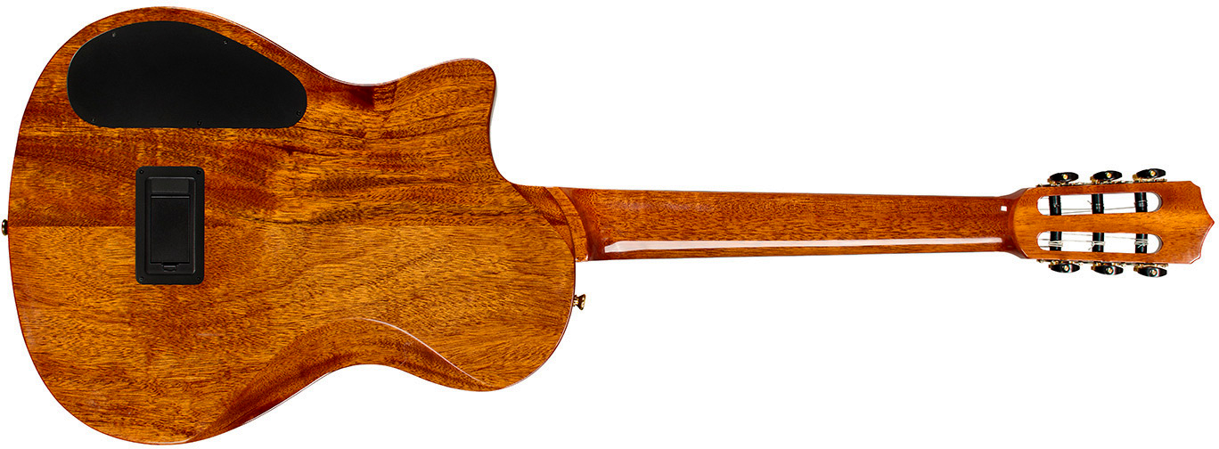 Cordoba Stage Artist Cw Epicea Acajou Eb - Agave Burst - Guitare Classique Format 4/4 - Variation 1