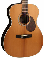 Guitare folk Cort L200ATV SG - Natural