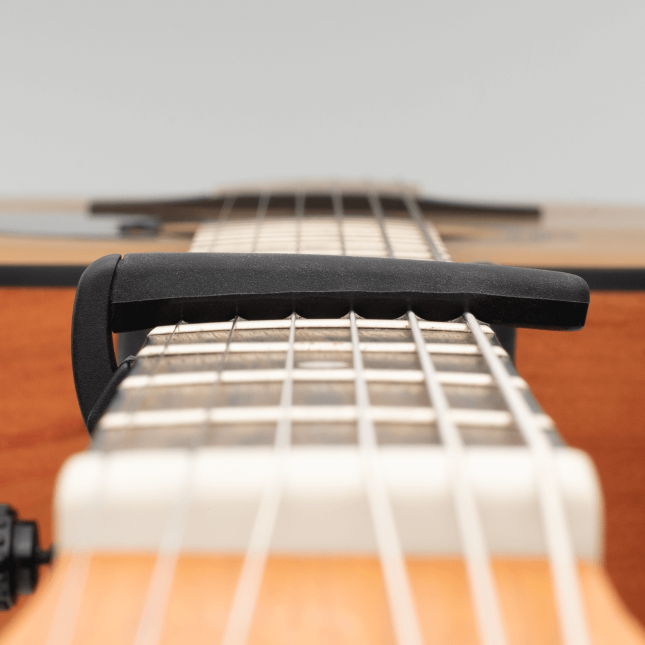 D'addario Pro Plus Capo Silver - Capodastre & Fatfinger - Variation 1