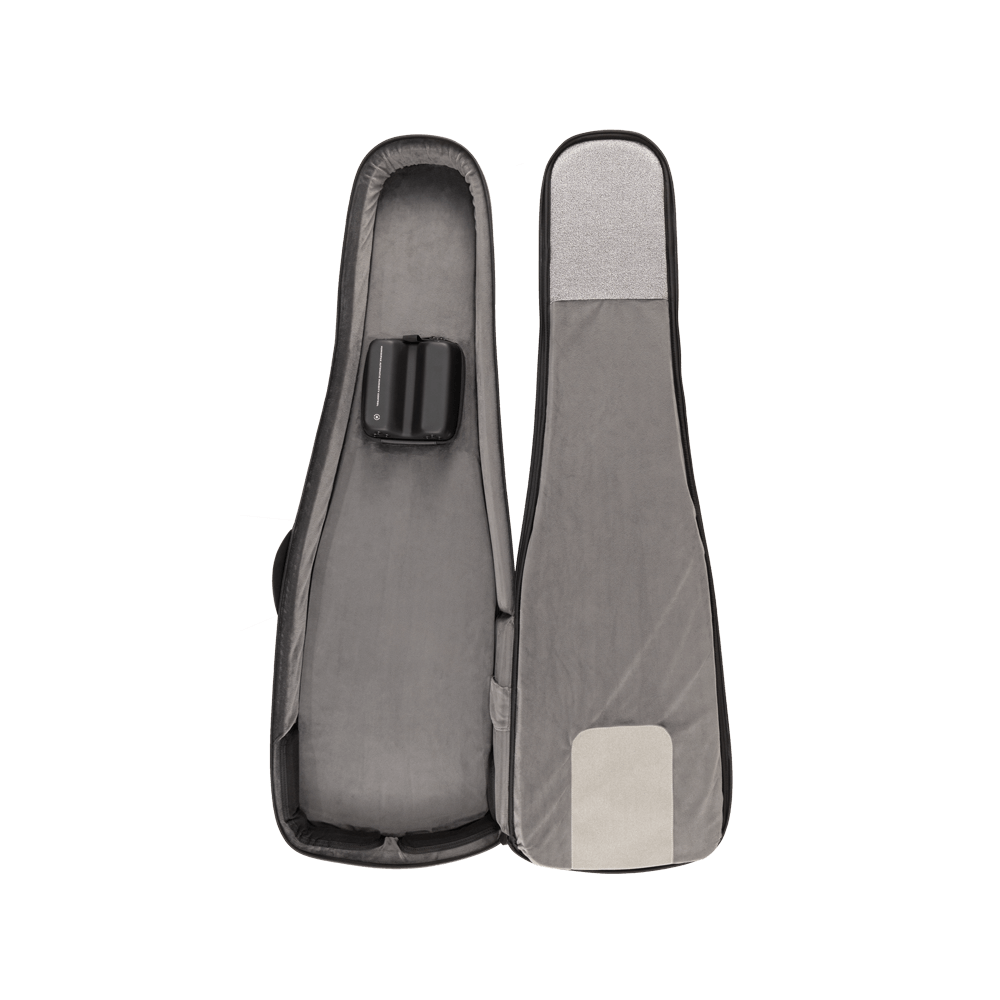 D'addario Pw-blebc-01 Backline Electric Bass Case - Etui Guitare Électrique - Variation 10