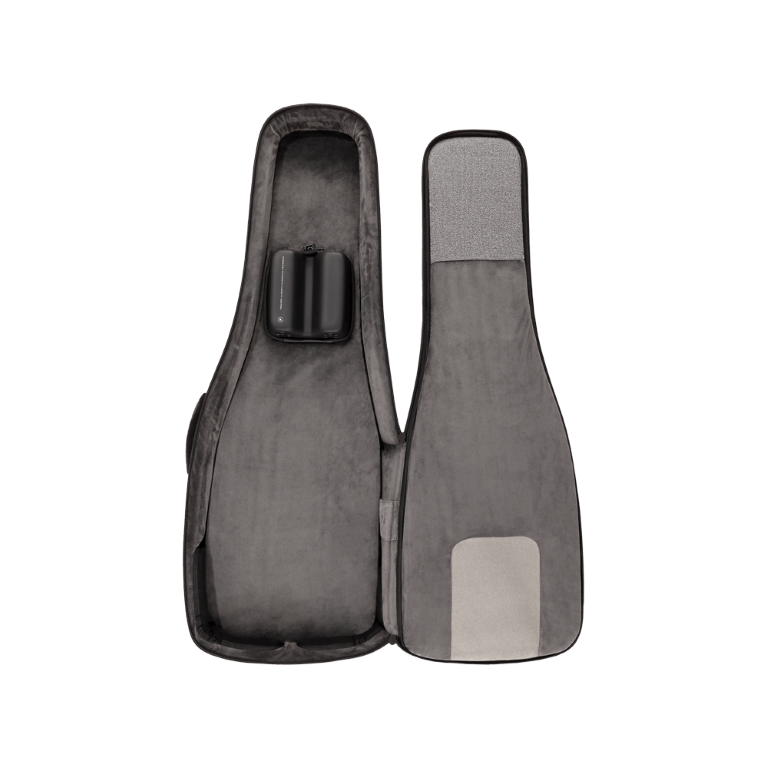 D'addario Pw-blegc-01 Backline Electric Guitar Case - Etui Guitare Électrique - Variation 11
