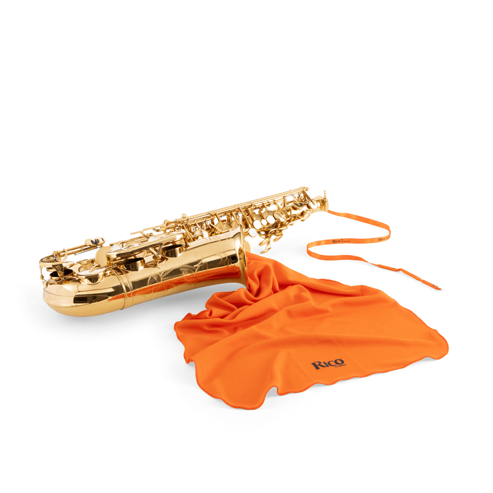D'addario Rswab-lg Rico Anti-microbial Swab, Large Instruments - Entretien Et Nettoyage Vent - Variation 4