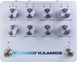 Ultra Kaamos Distortion With Octave