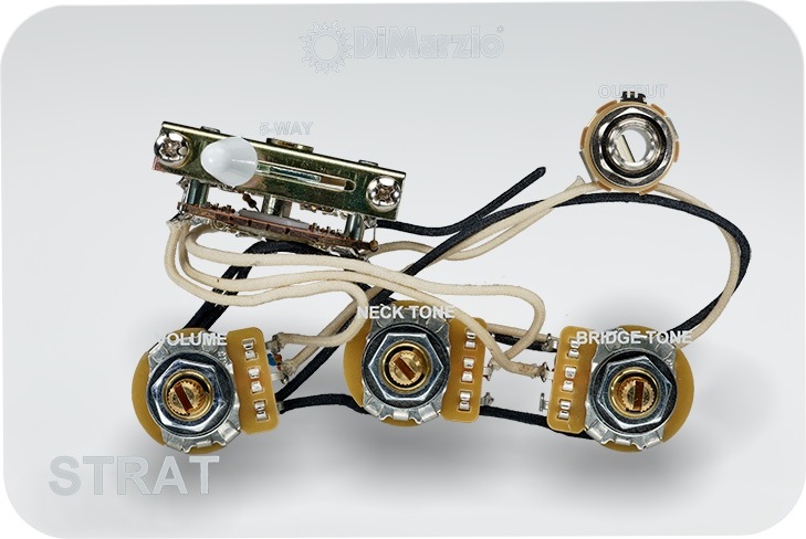 Dimarzio Gw2113 - PotentiomÈtre - Main picture