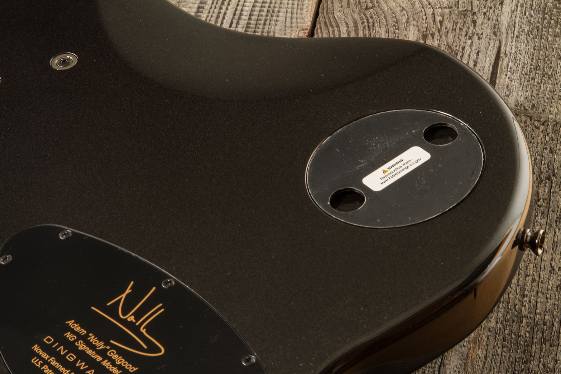 Dingwall Basse Électrique Solid Body - Basse Électrique Solid Body - Variation 6
