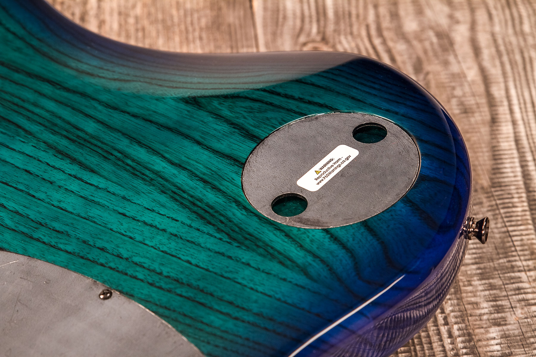 Dingwall Combustion Cb2 4c 2pu Active Pf - Whalepool Burst - Basse Électrique Solid Body - Variation 7