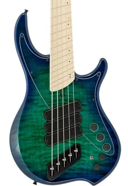 Nashville Combustion 3-Pickups (5-String, MN) - whalepool burst