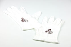 Entretien et nettoyage guitare & basse Dr listons DR-SPG-01 SUPREME POLISHING GLOVES