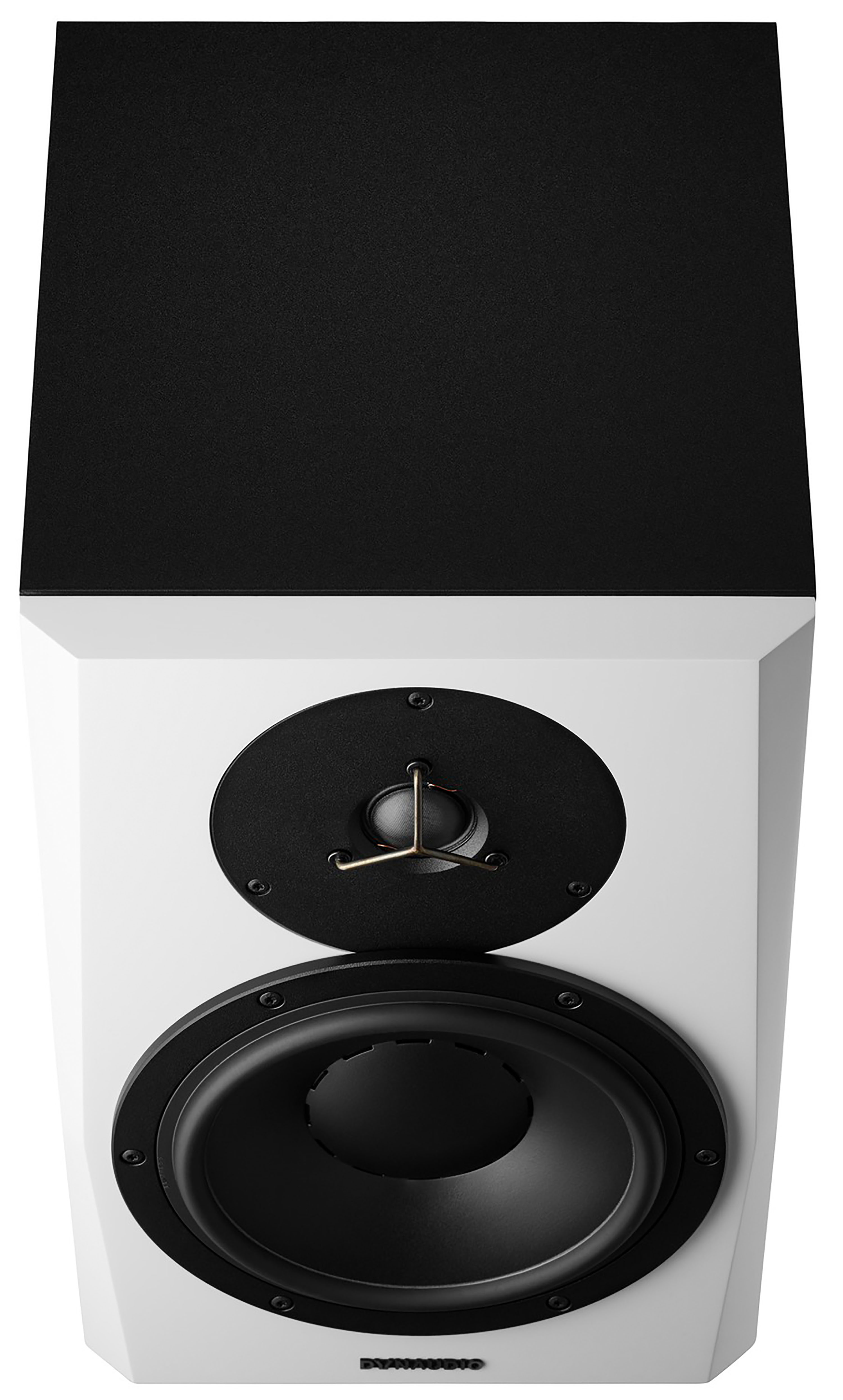 Dynaudio Lyd 8 B/w - La PiÈce - Enceinte Monitoring Active - Variation 2