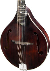 Mandoline Eastman A-style F-hole MD305 - Classic