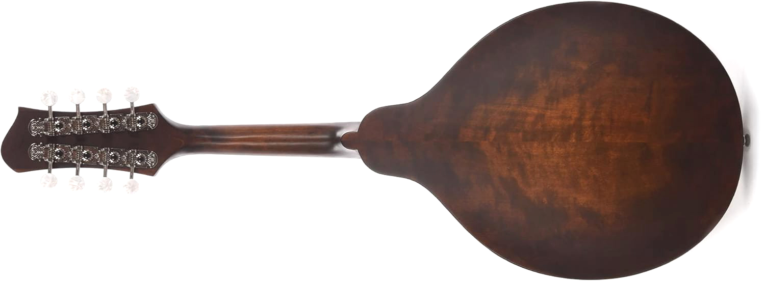 Eastman Md304 A-style Oval-hole Epicea Erable Eb +housse - Classic - Mandoline - Variation 1