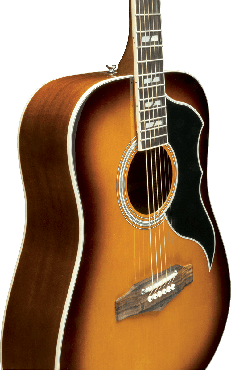 Eko Ranger Vr Vi Epicea Sapelli - Honey Burst - Guitare Acoustique - Variation 2