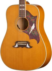 Guitare folk Epiphone IBG Dove Studio - Natural