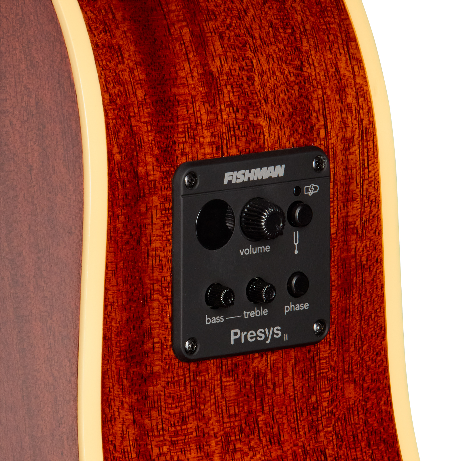 Epiphone J45 Standard Ec Ibg Dreadnought Cw Epicea Acajou Rw - Honey Burst - Guitare Folk - Variation 3