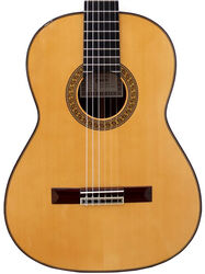 7SR Spruce - natural