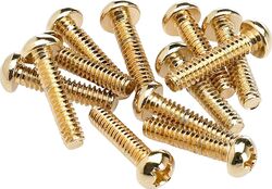 Vis Fender Pickup & Selector Switch Mounting Screws (12) - Gold