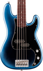Basse électrique solid body Fender American Professional Precision Bass V (USA, RW, 5-String) - Dark night