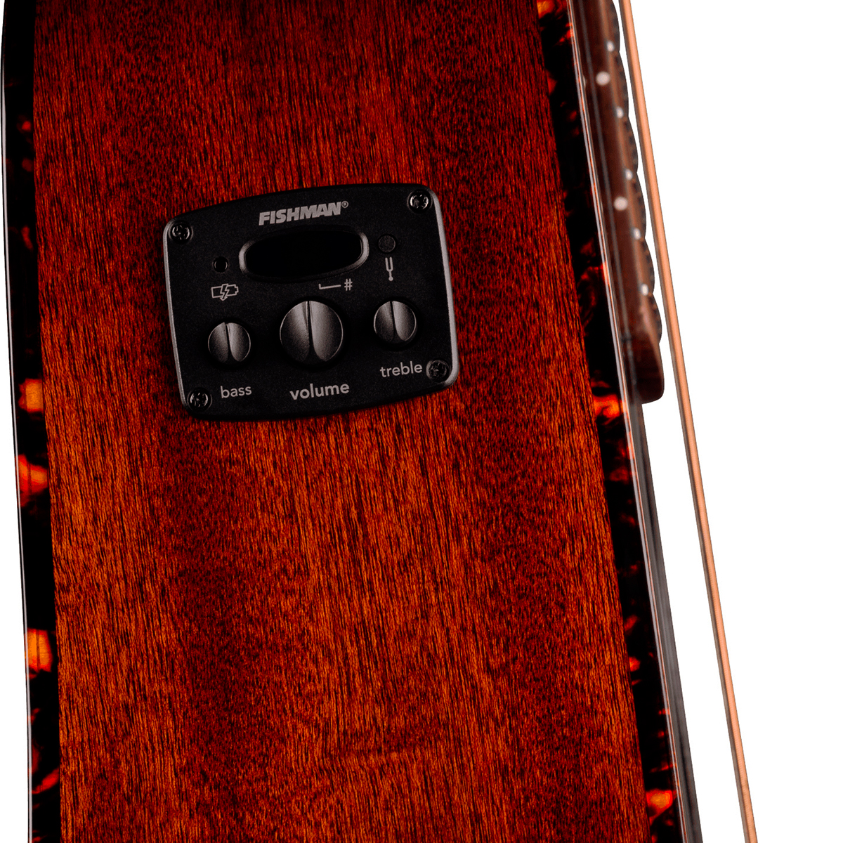 Fender Monterey Deluxe E California Orchestra Om Epicea Acajou Noy - Aztec Gold - Guitare Folk - Variation 2