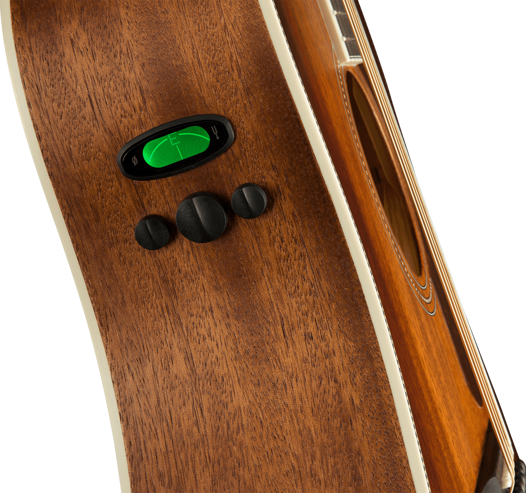 Fender Pm-1e All-mahogany Ne Paramount Dreadnought Tout Acajou Ova +etui - Aged Cognac Burst - Guitare Folk - Variation 3