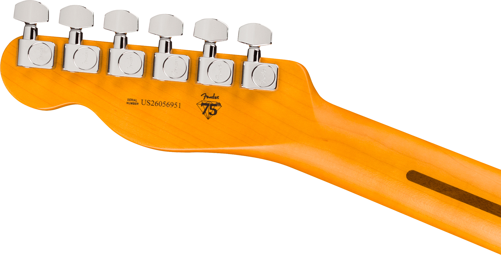Fender Tele American Pro. Usa  2s Ht Mn - Natural - Guitare Électrique Forme Tel - Variation 4
