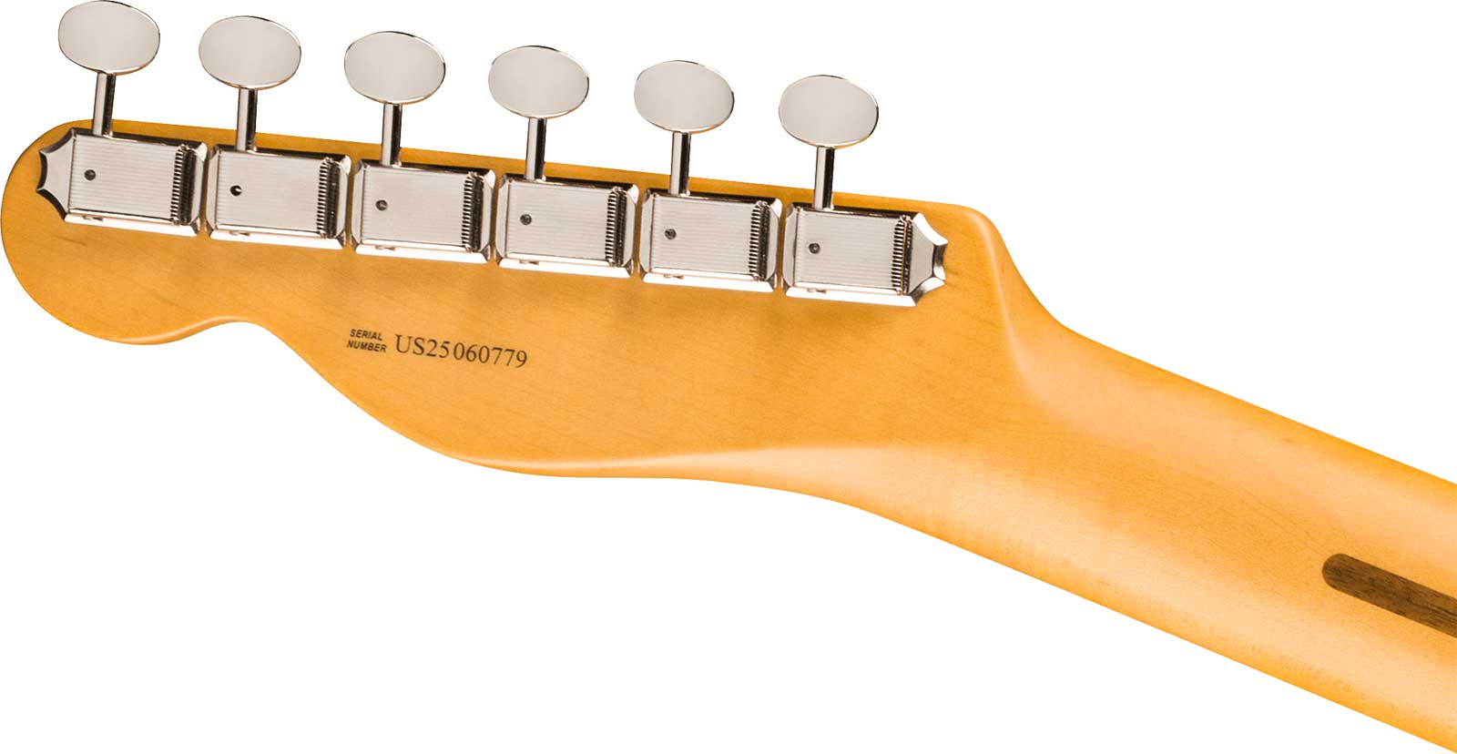 Fender Tele American Professional Classic Usa 2s Ht Mn - Faded Sherwood Green Metallic - Guitare Électrique Forme Tel - Variation 3