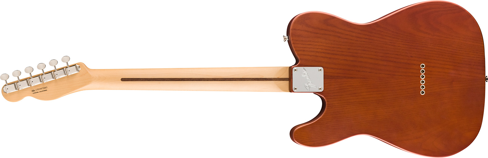 Fender Tele Timber Sassafras American Performer Fsr Ltd Usa 2s Ht Mn - Satin Mocha - Guitare Électrique Forme Str - Variation 1