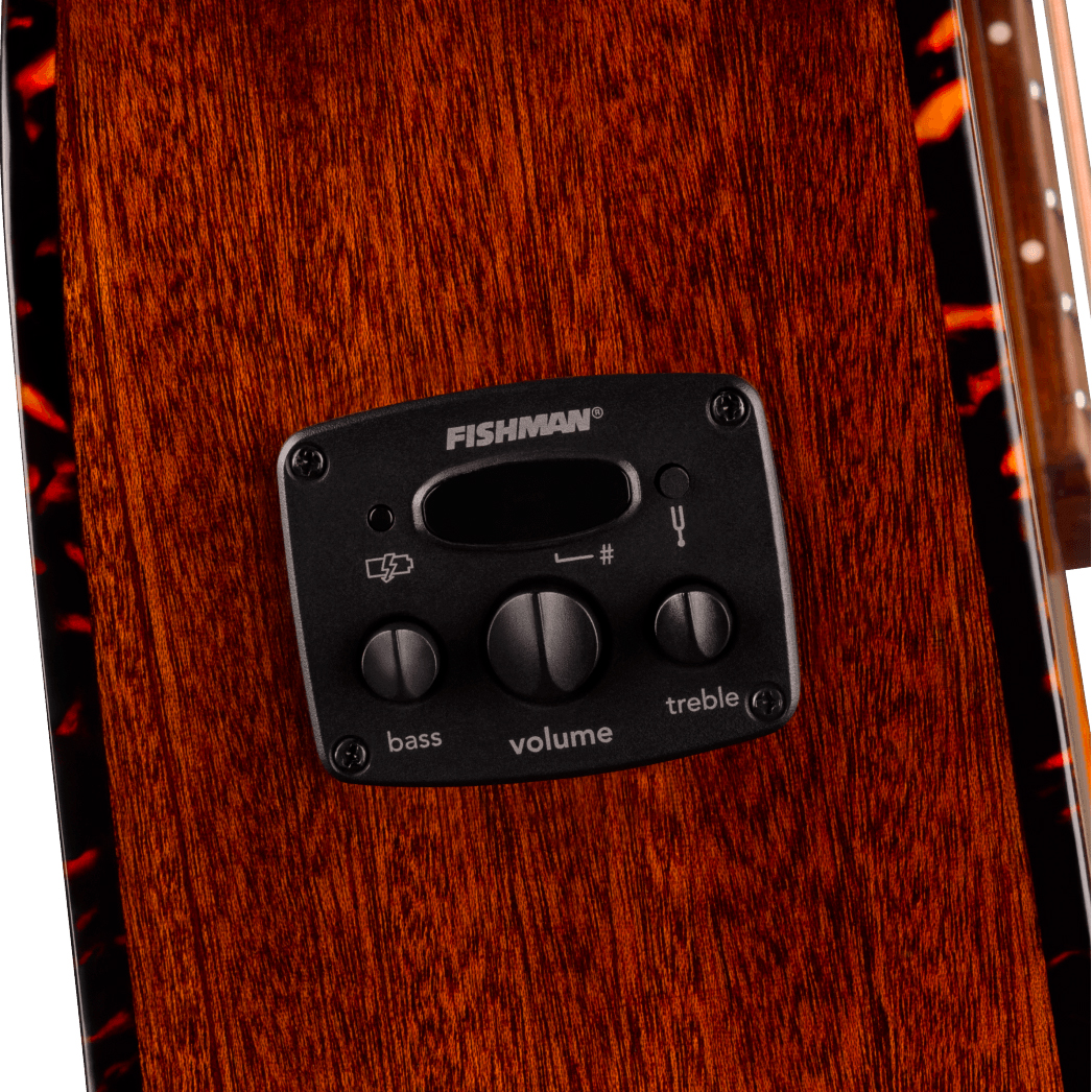 Fender Villager Deluxe E California Orchestra Om 12c Shsc Epicea Acajou Noy - Black - Guitare Folk - Variation 3