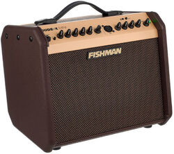 Combo ampli acoustique Fishman                        Loudbox Mini Bluetooth