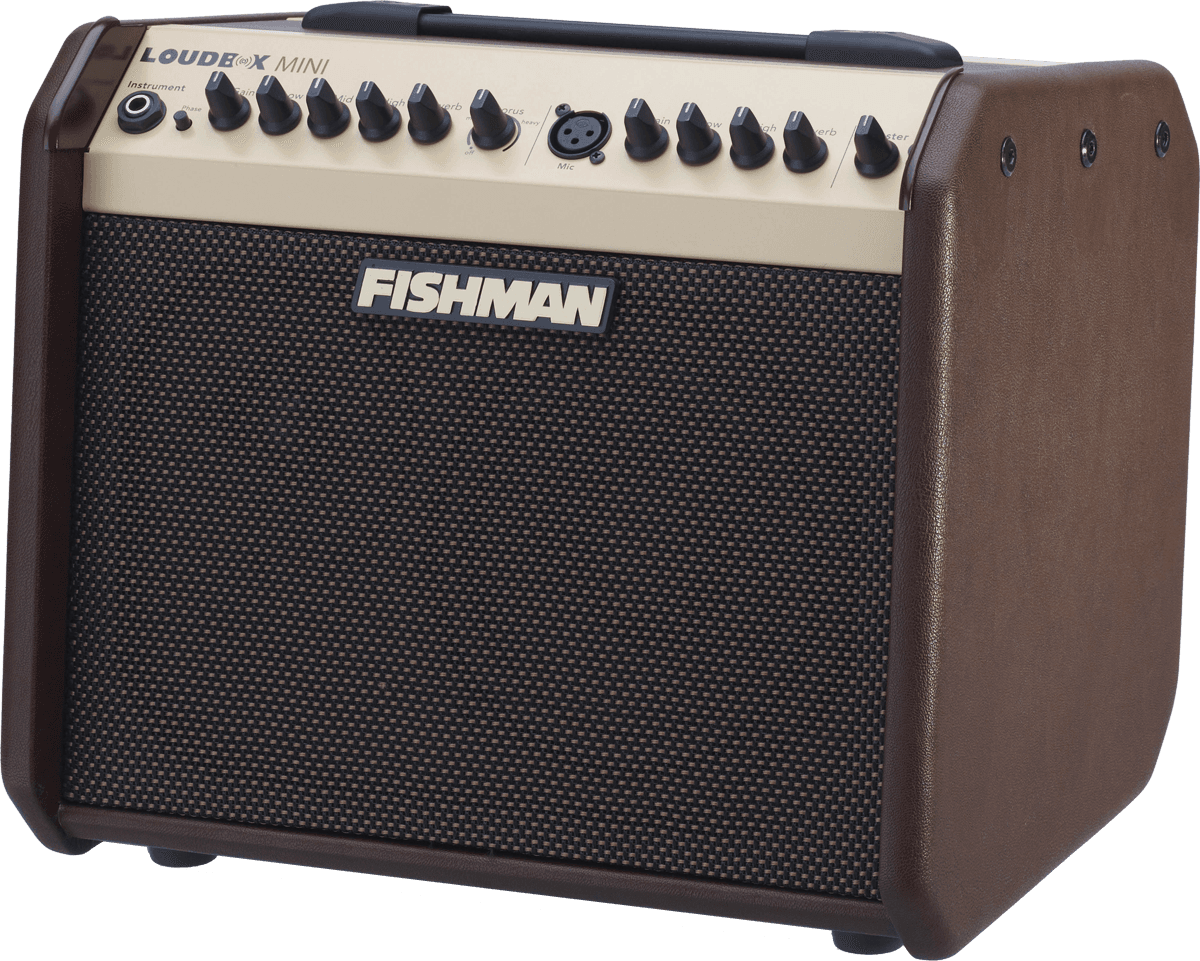 Fishman Loudbox Mini 60w Bluetooth - Combo Ampli Acoustique - Variation 1