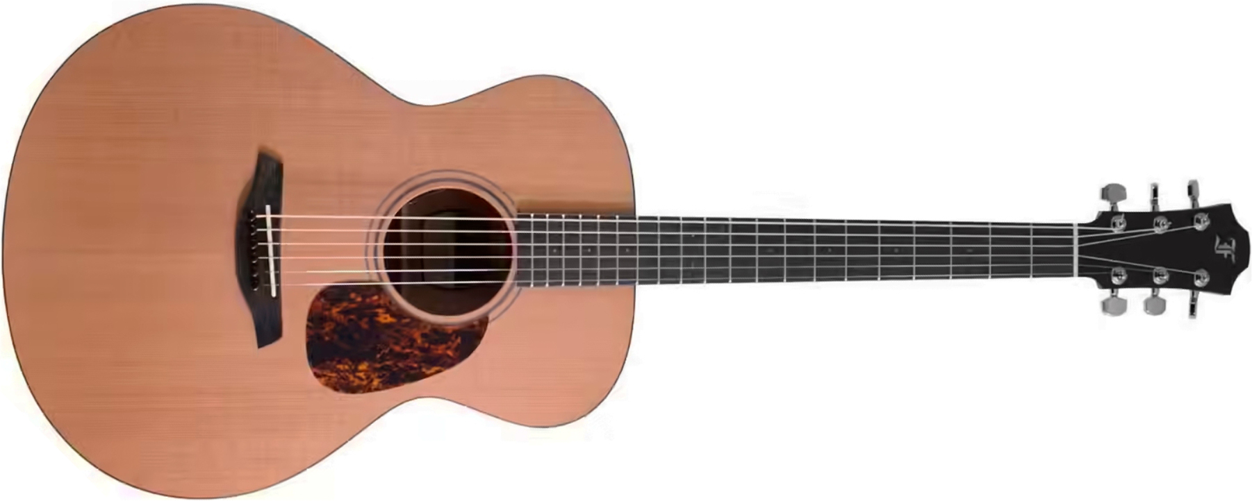 Furch Blue Cm A G Lrb1 Grand Auditorium Cedre Acajou Eb - Natural Open-pore - Guitare Folk - Main picture