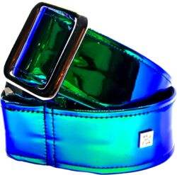 Chrome Earth