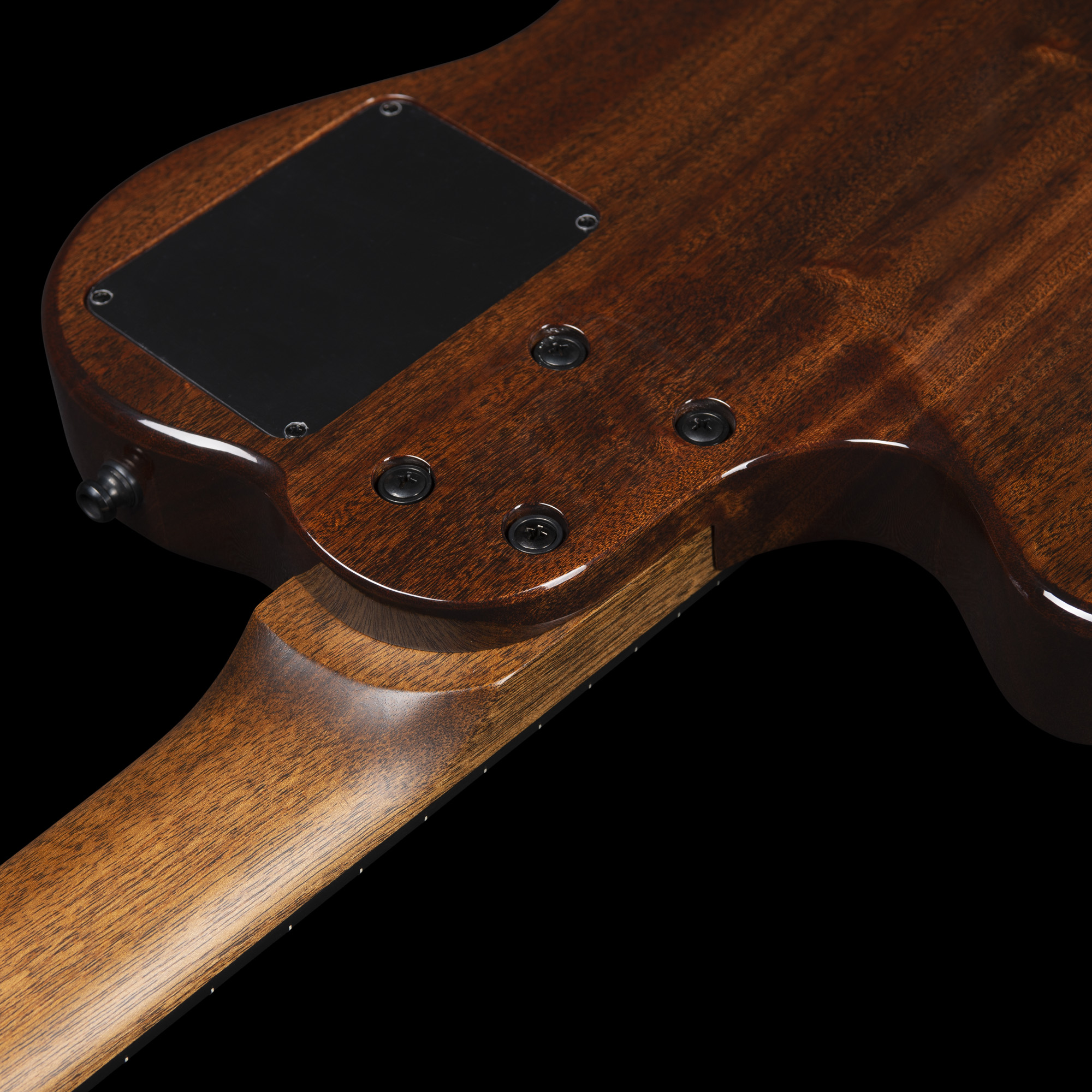 Godin Multiac Mundial Grand Concert Deluxe Mahogany - Natural - Guitare Classique Format 4/4 - Variation 5