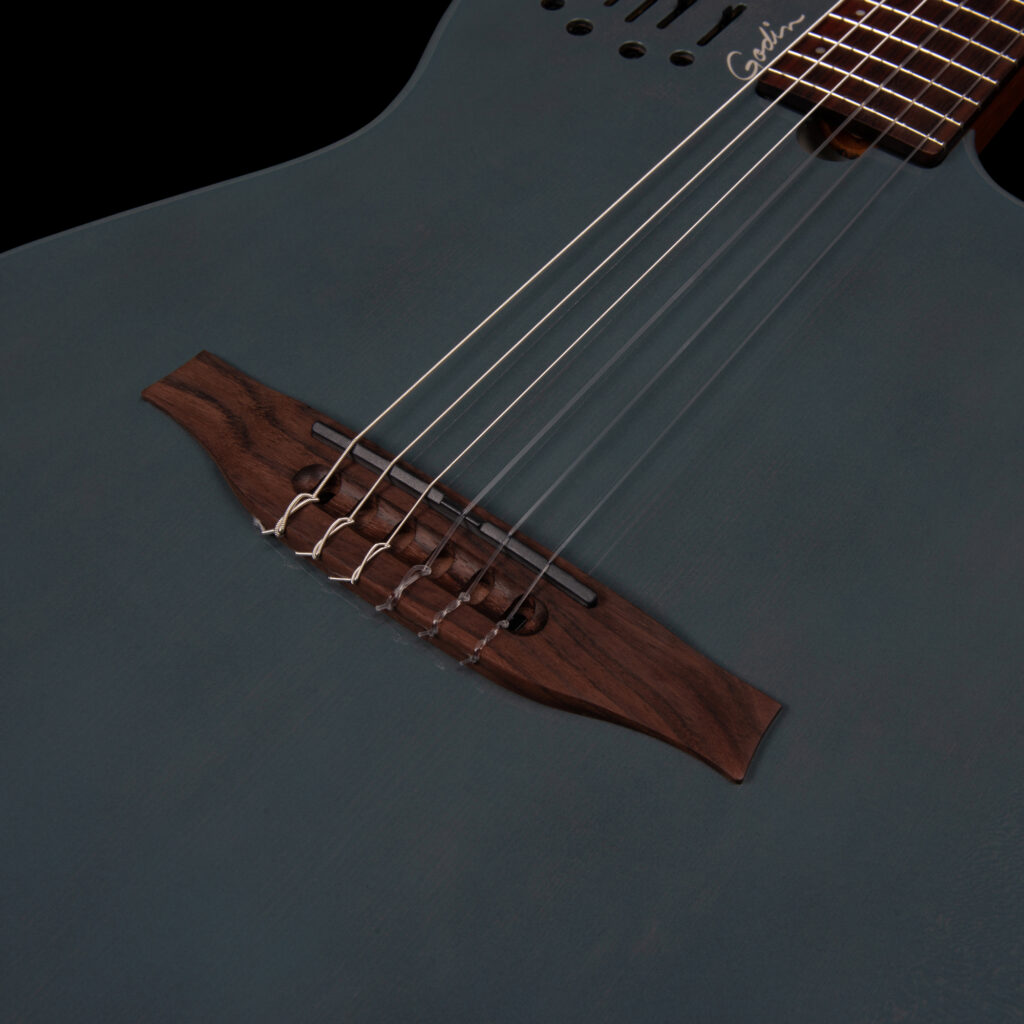 Godin Multiac Nylon Mundial Cw Cedre Acajou Rw - Arctik Blue - Guitare Acoustique - Variation 5