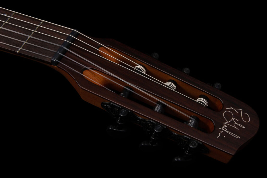 Godin Multiac Nylon Mundial Cw Cedre Acajou Rw - Arctik Blue - Guitare Acoustique - Variation 6